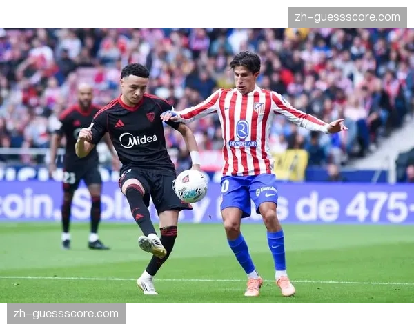 “足球进校园”计划：西甲联盟向马德里大区公立学校捐赠五千个足球